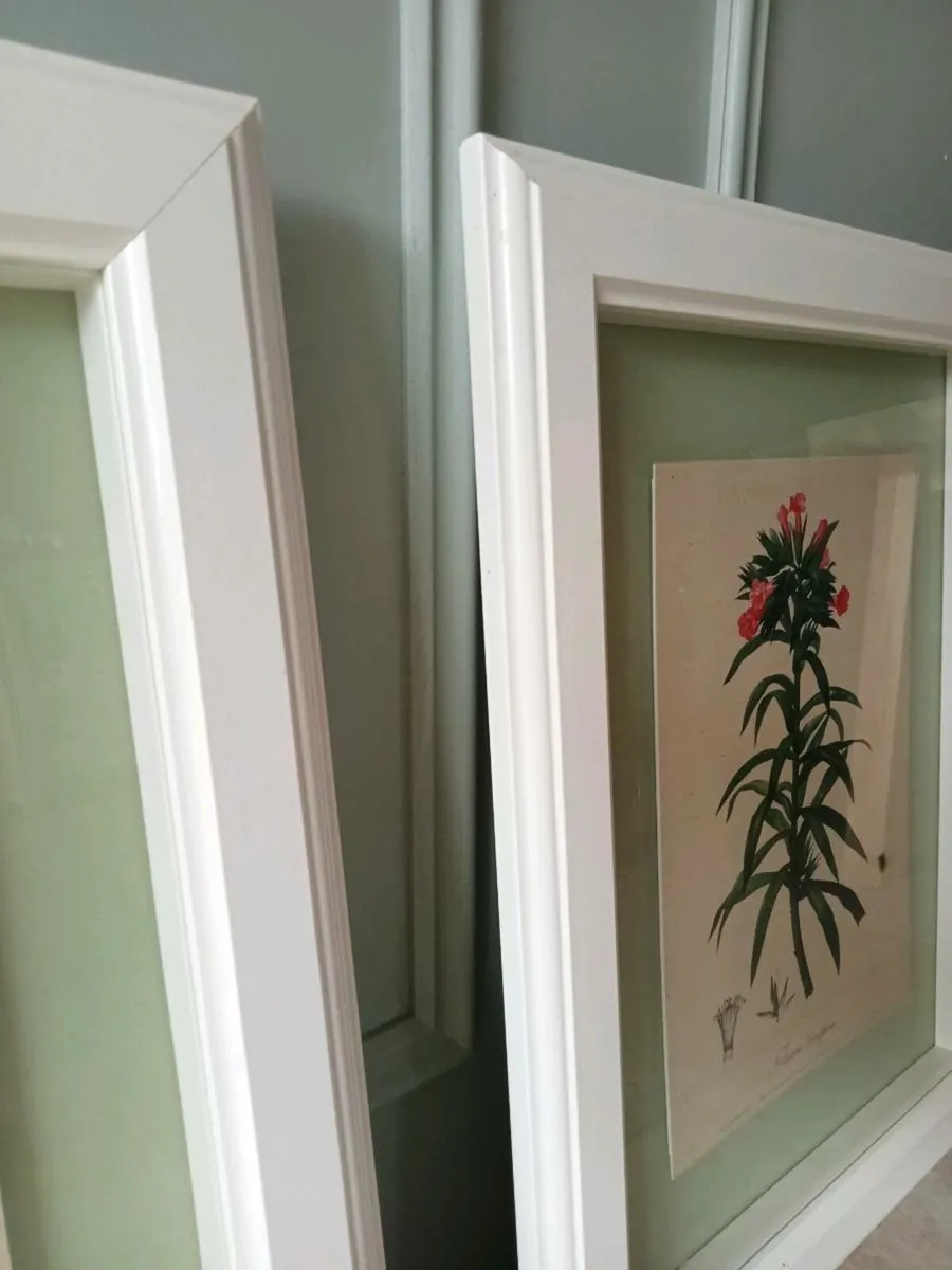 Framed prints - Image 4
