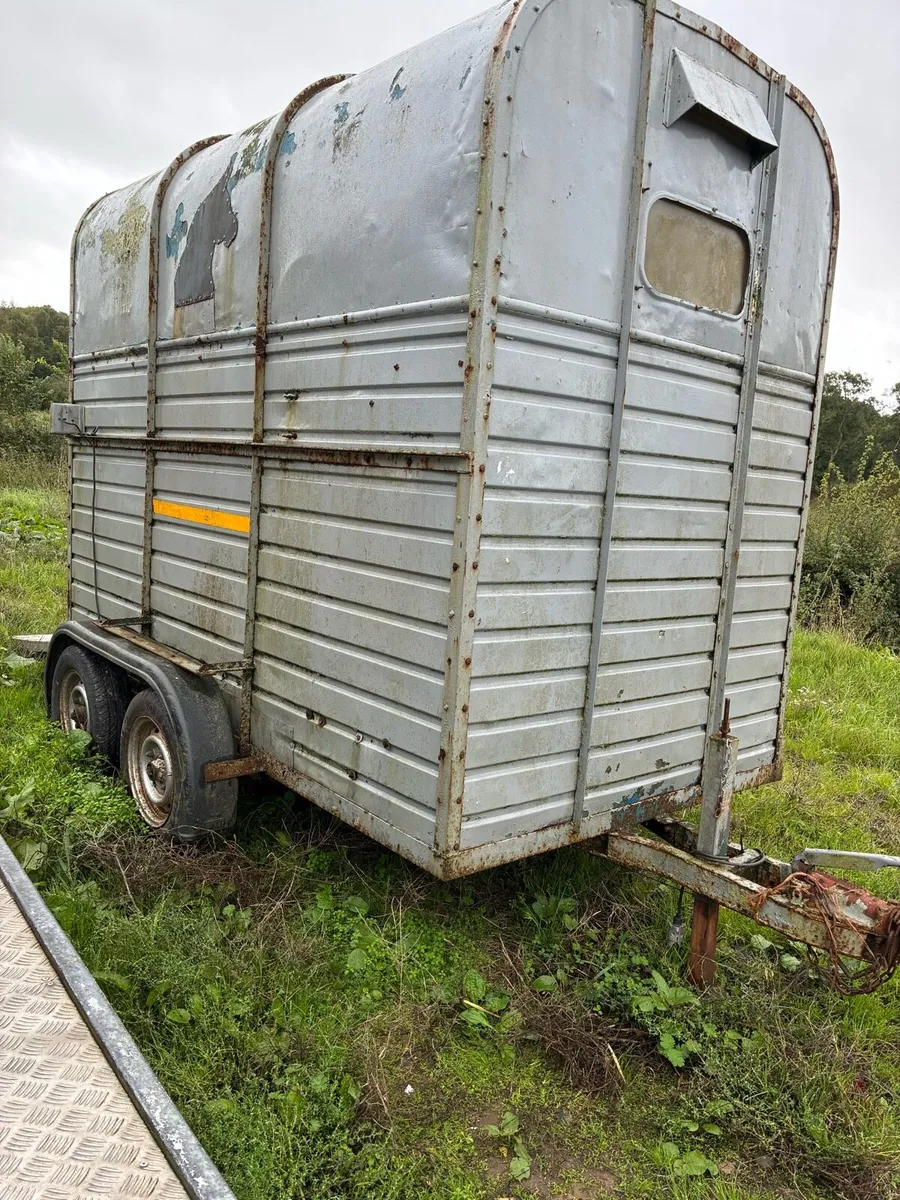 Rice horsebox - Image 2
