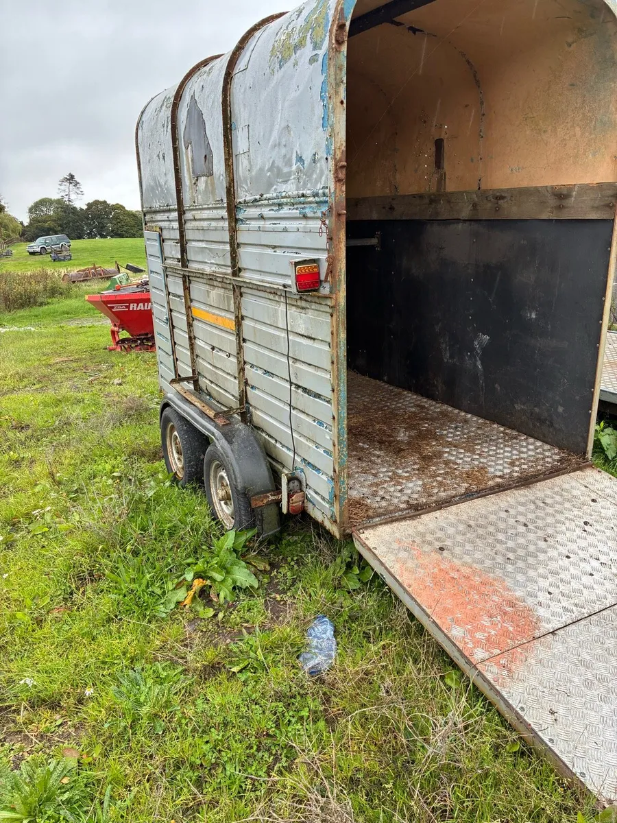 Rice horsebox - Image 3