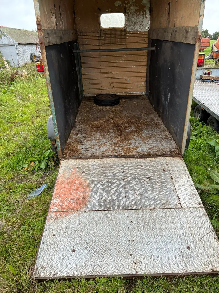 Rice horsebox - Image 4