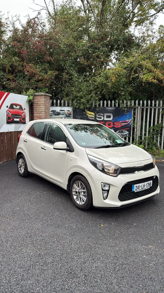 2024 Kia Picanto 1.0l Petrol Automatic low KM - Image 1