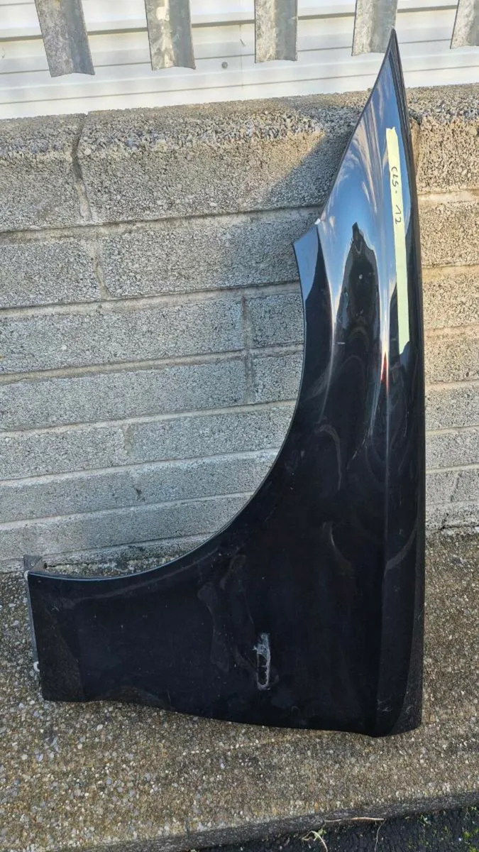 Mercedes CLS passenger wing - Image 1