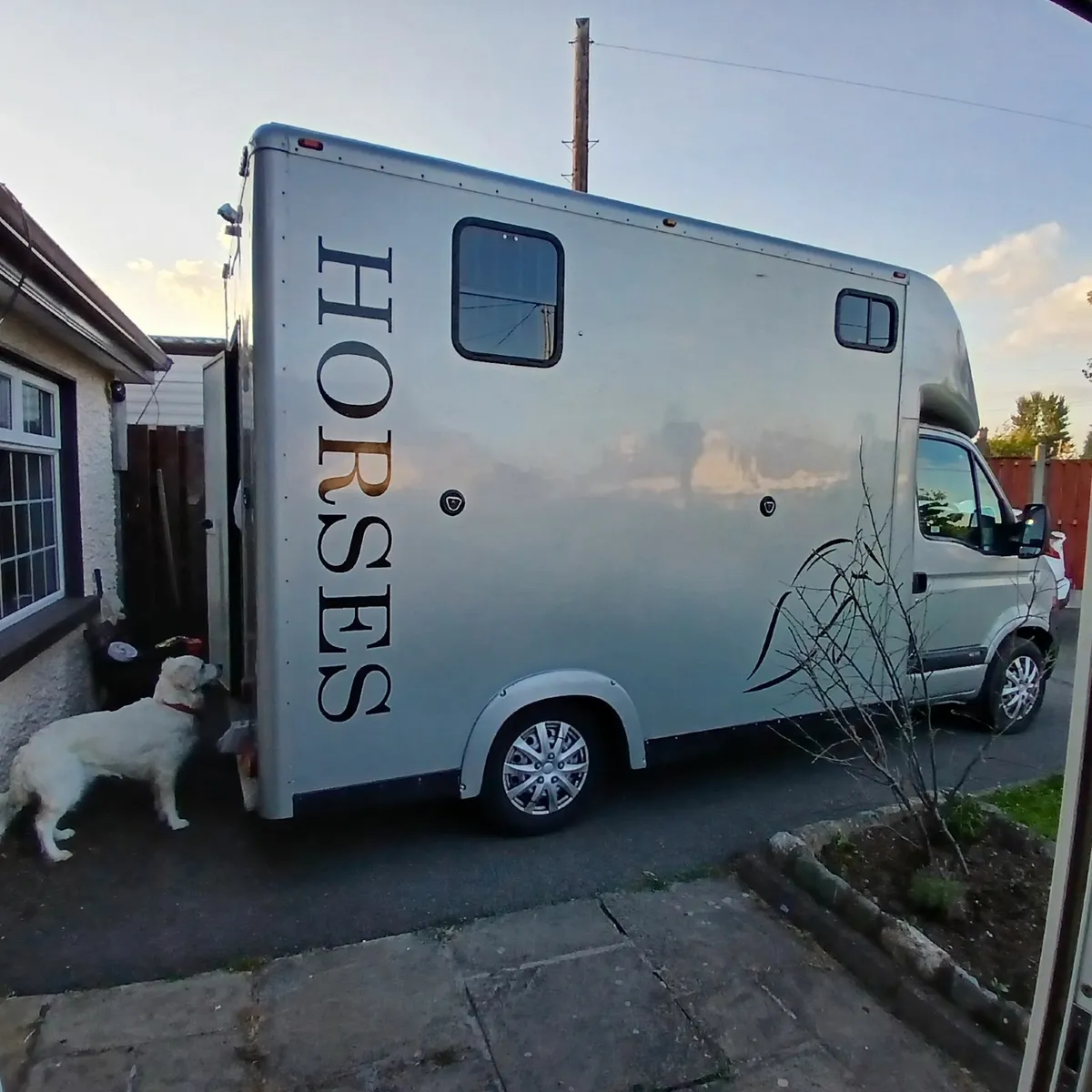 Horse Transporter Renault Master - Image 2