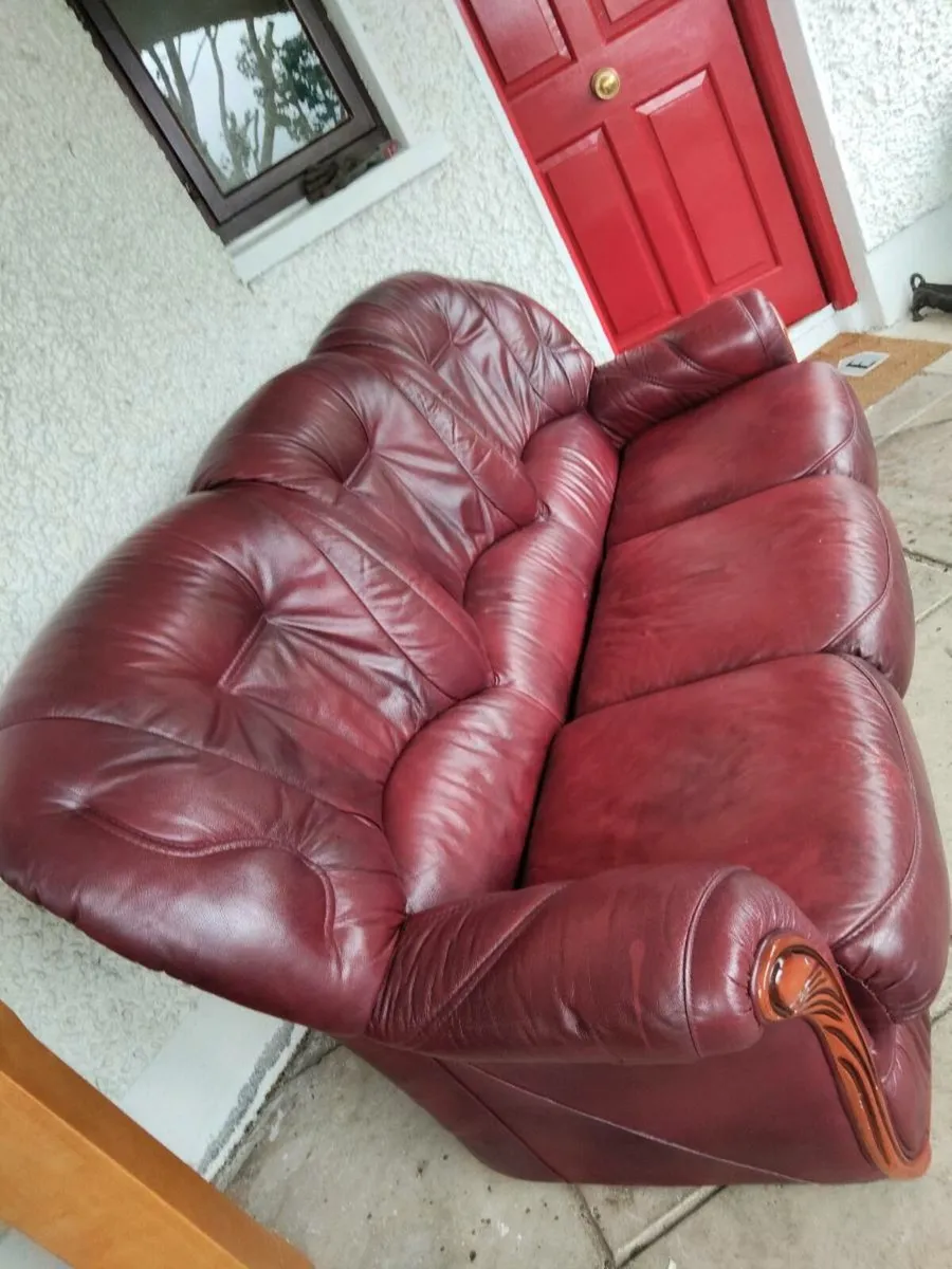 Wine Sofa - Image 2