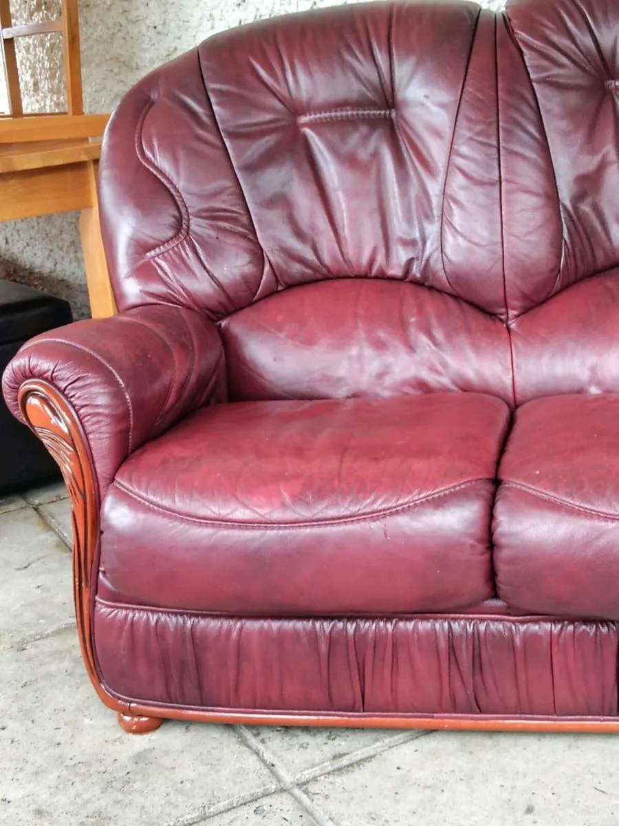Wine Sofa - Image 4