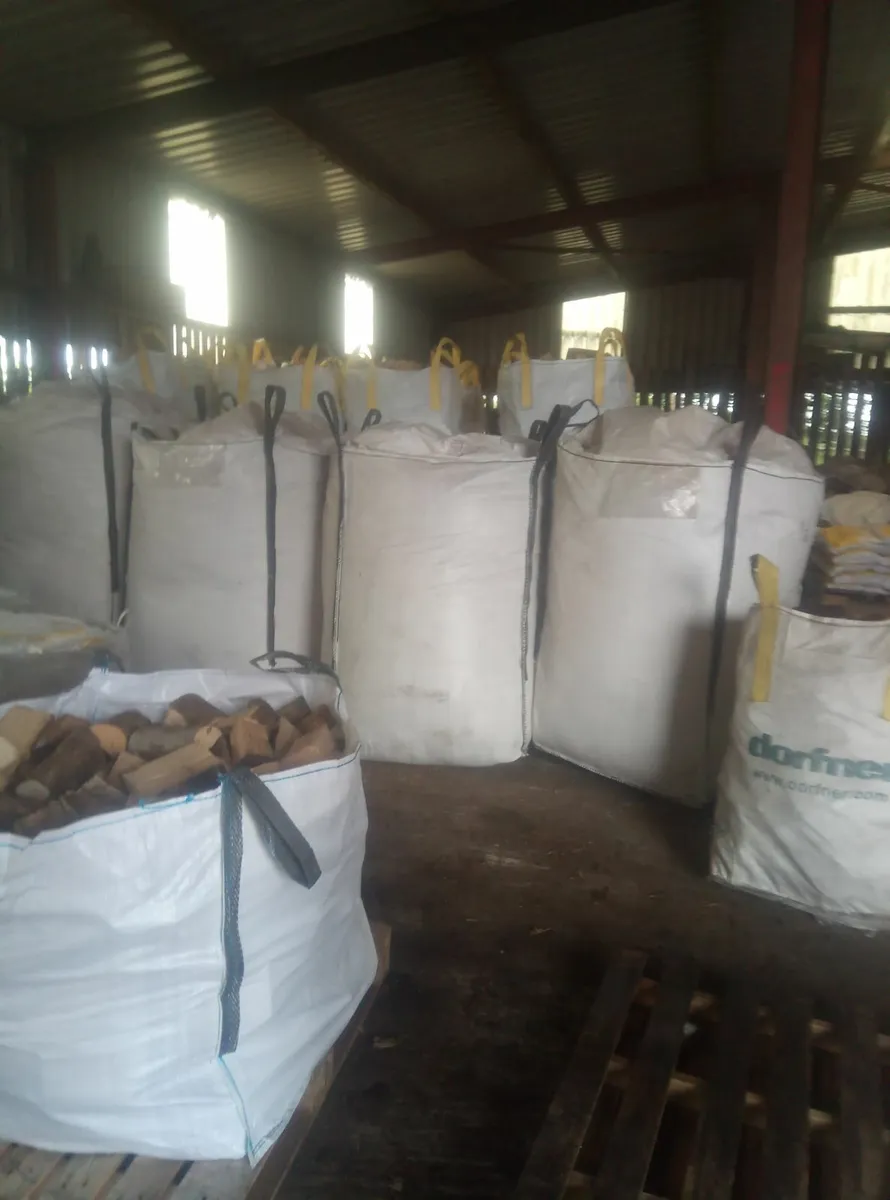 Saw dust bedding