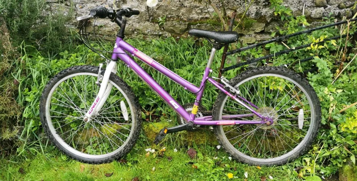Bicycle - Image 1