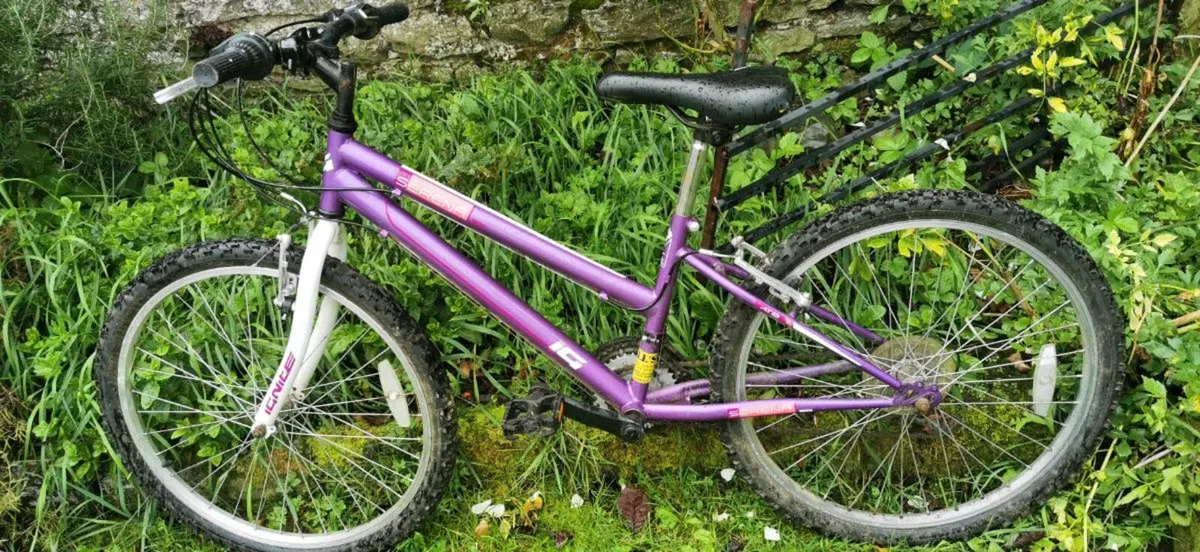 Bicycle - Image 2