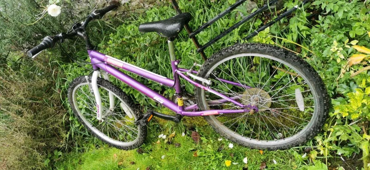 Bicycle - Image 3