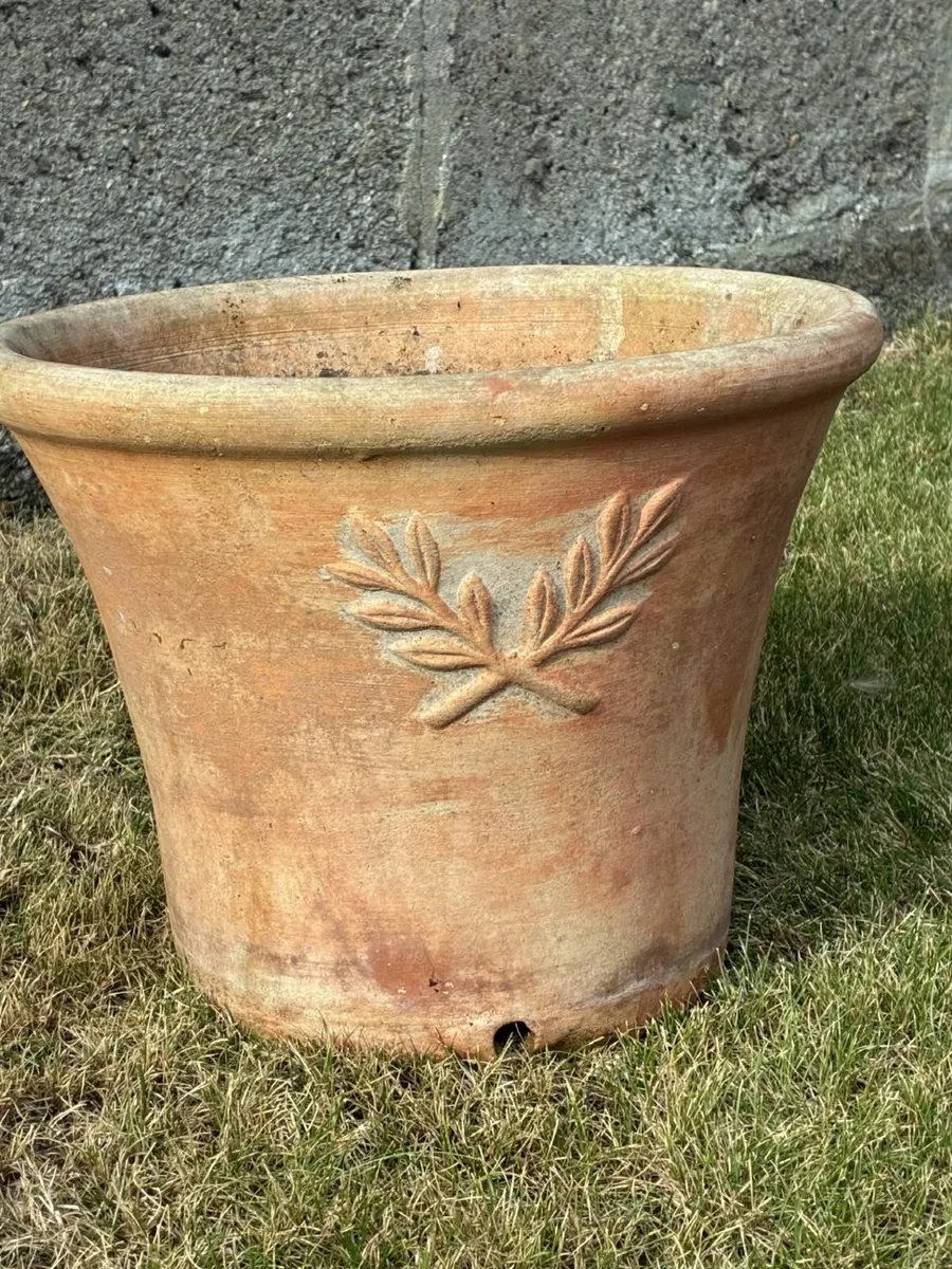 Planter, bulbs and other gardening accessories - Image 1