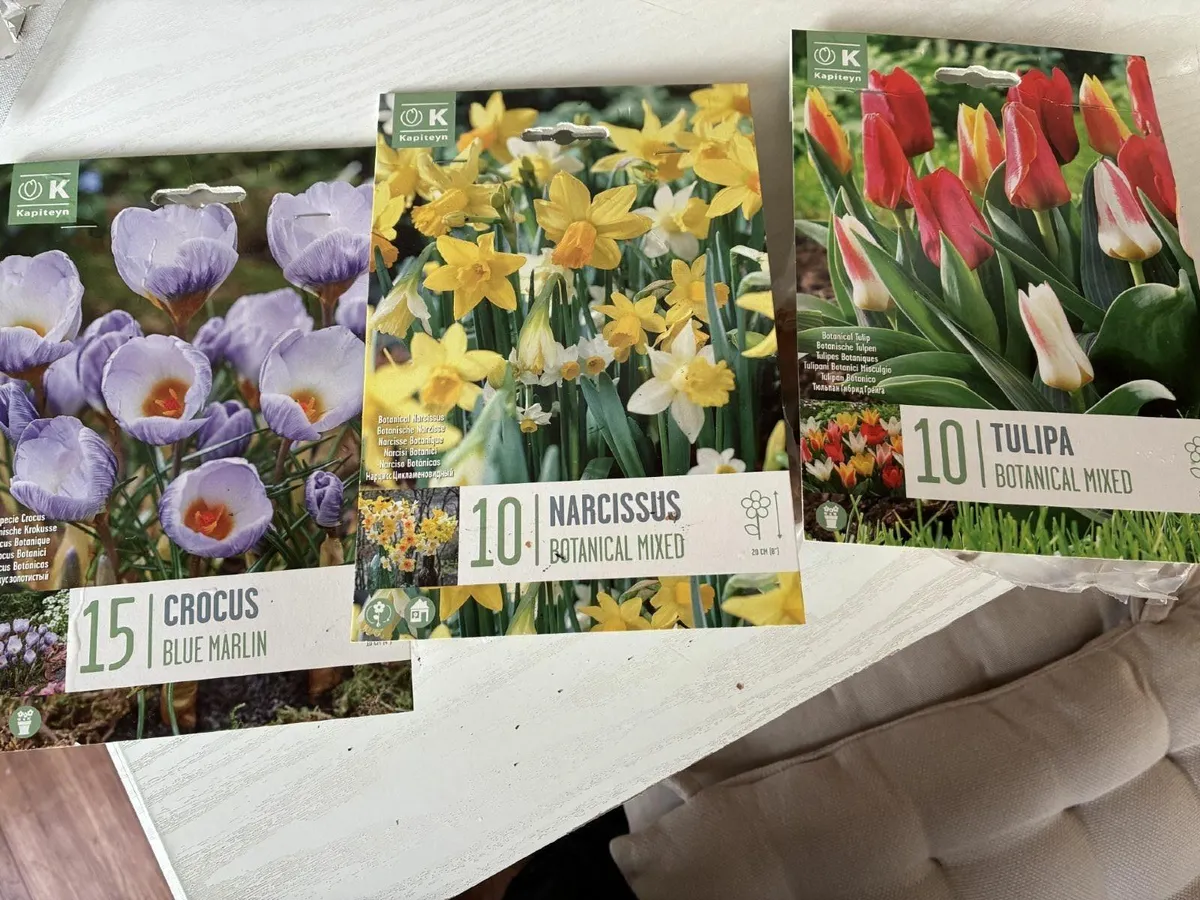 Planter, bulbs and other gardening accessories - Image 4