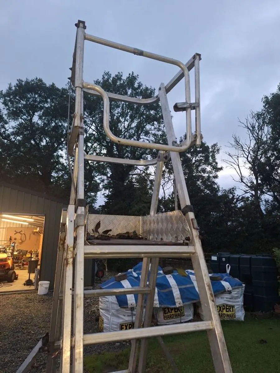 podium ladder final price drop - Image 2