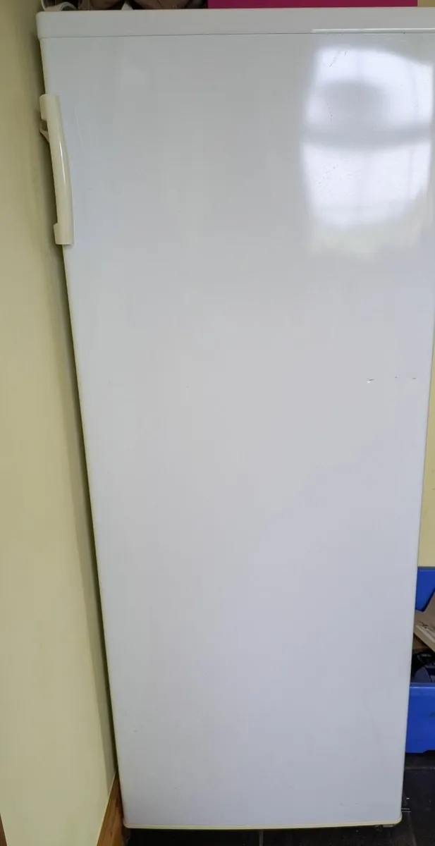 Free standing Freezer - Image 2
