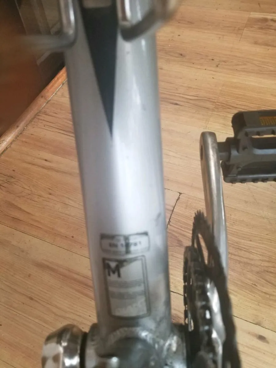 Giant defy - Image 2