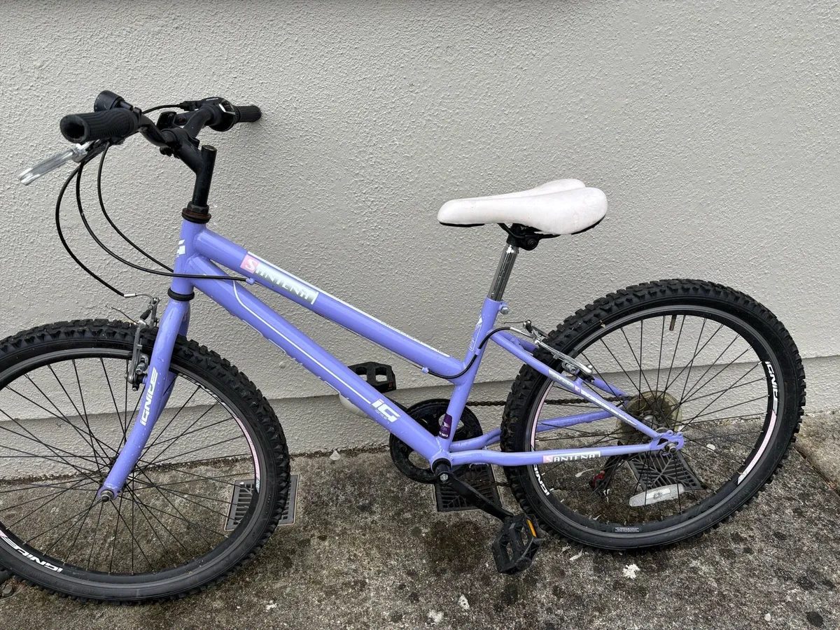 Bicycle - Image 1