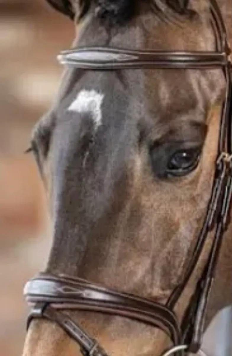 Brown Le  Mieux Competition Bridle - Image 1