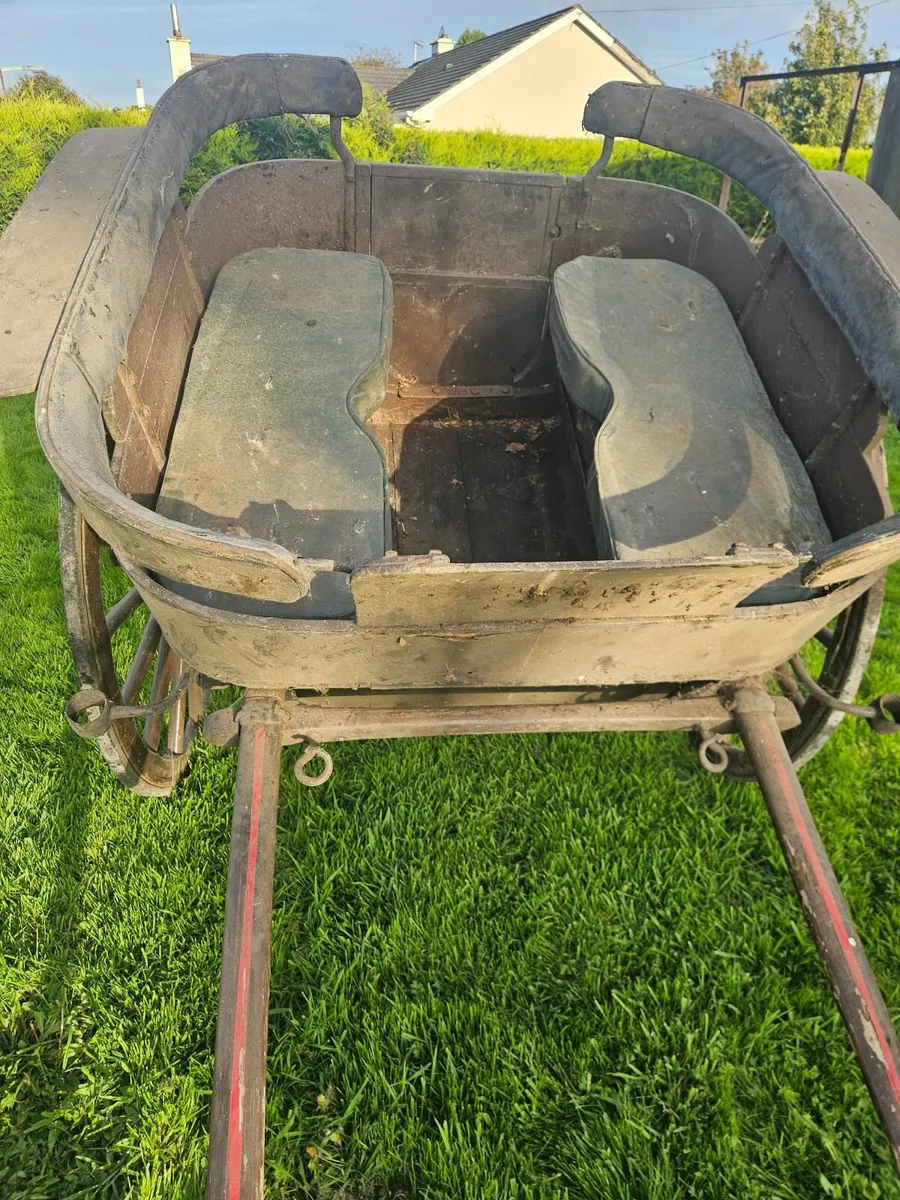 Horse cart - Image 2