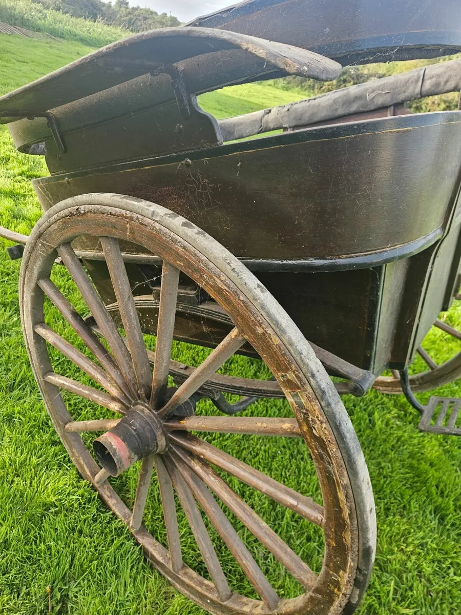 Horse cart - Image 1