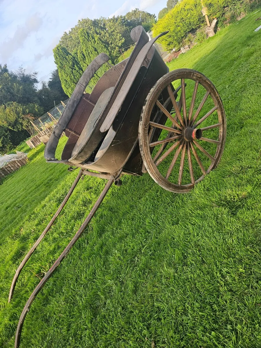 Horse cart - Image 4