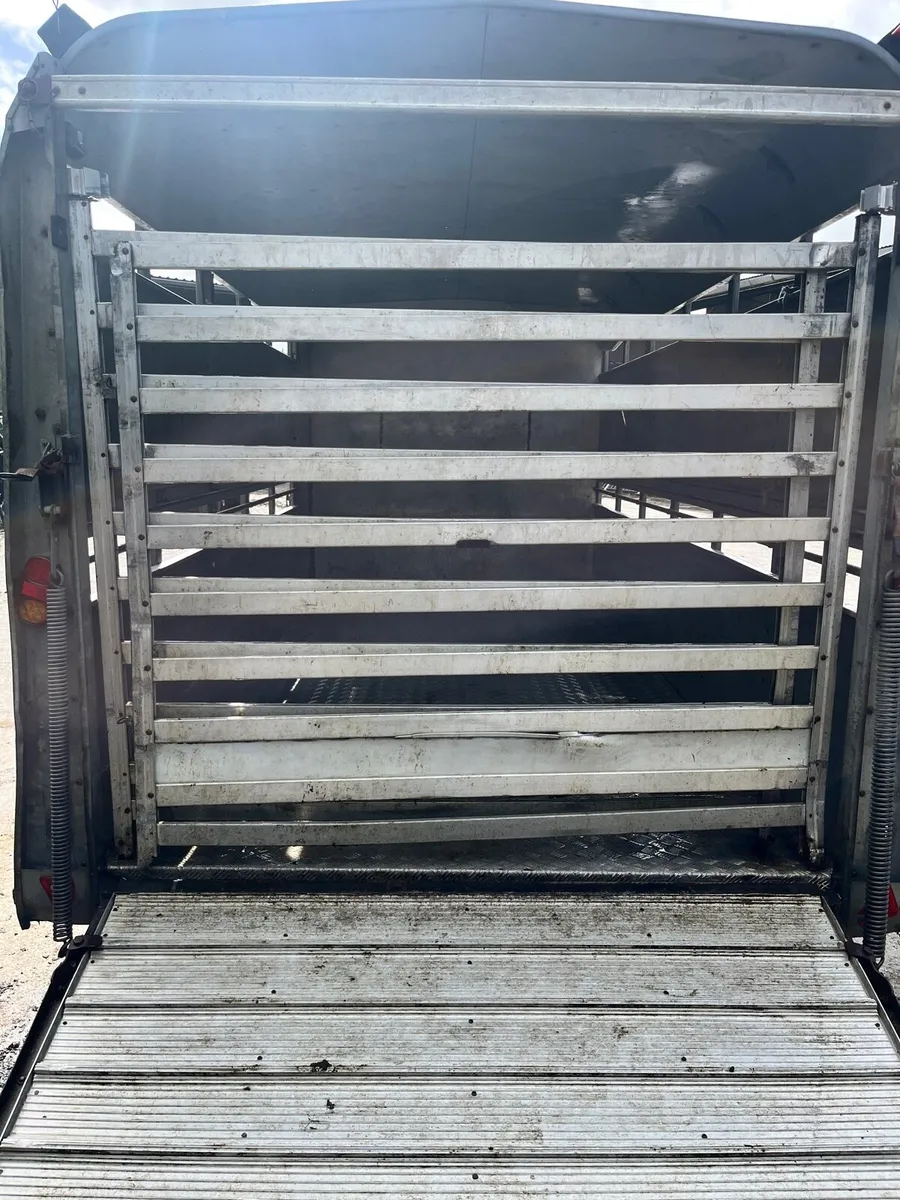 12 x 6 Ifor Williams Cattle Trailer - Image 3