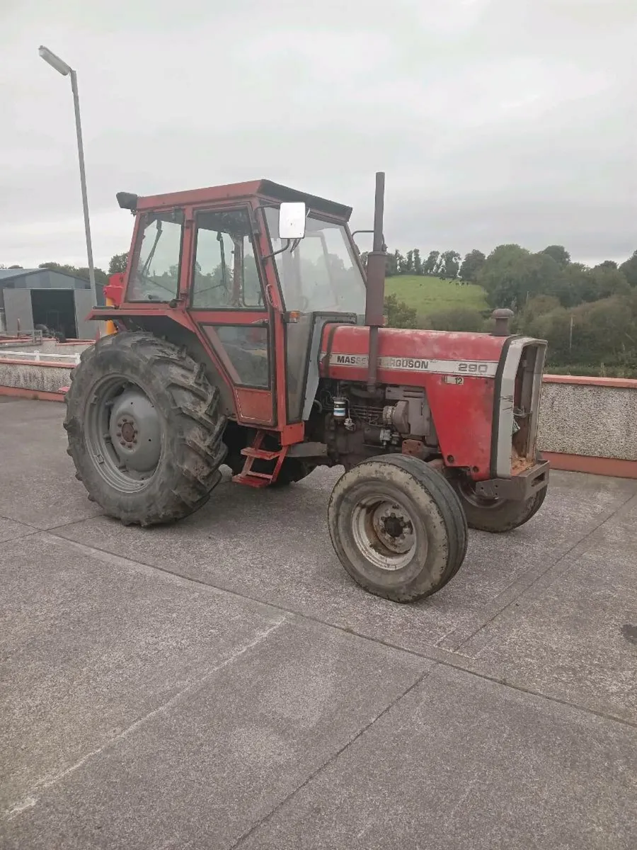 Massey Ferguson - Image 1