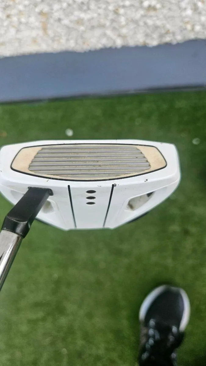 Spider putter - Image 1