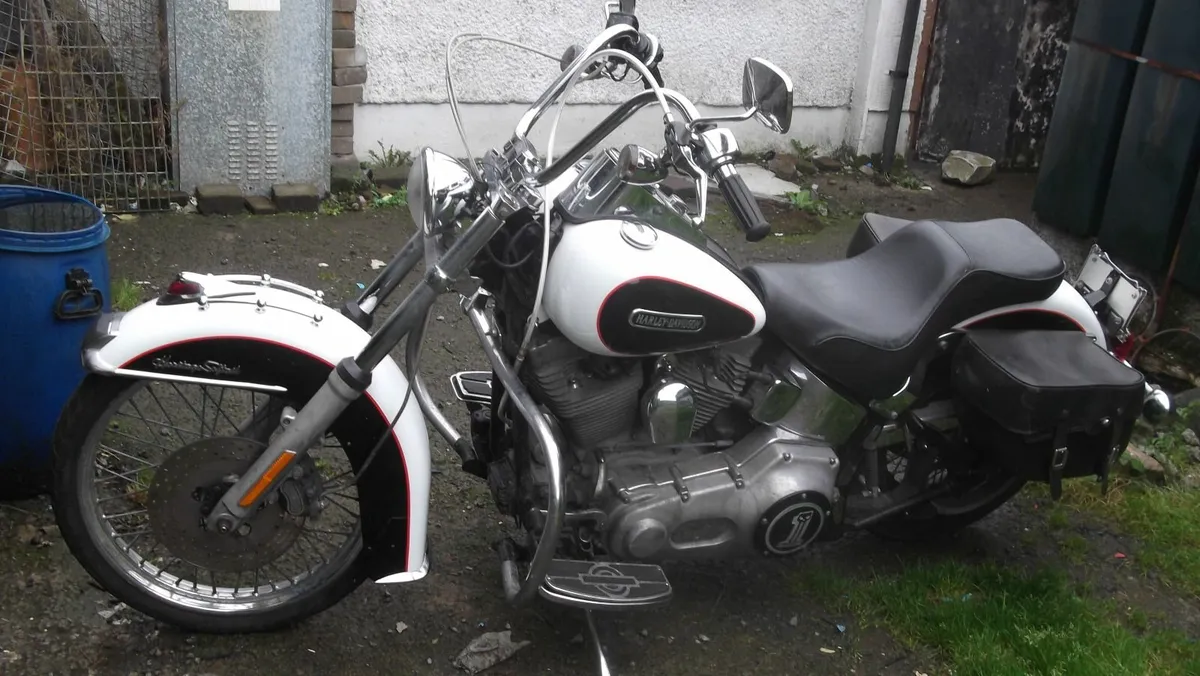 HARLEY DAVIDSON 05 softail  TRADE UP - Image 4