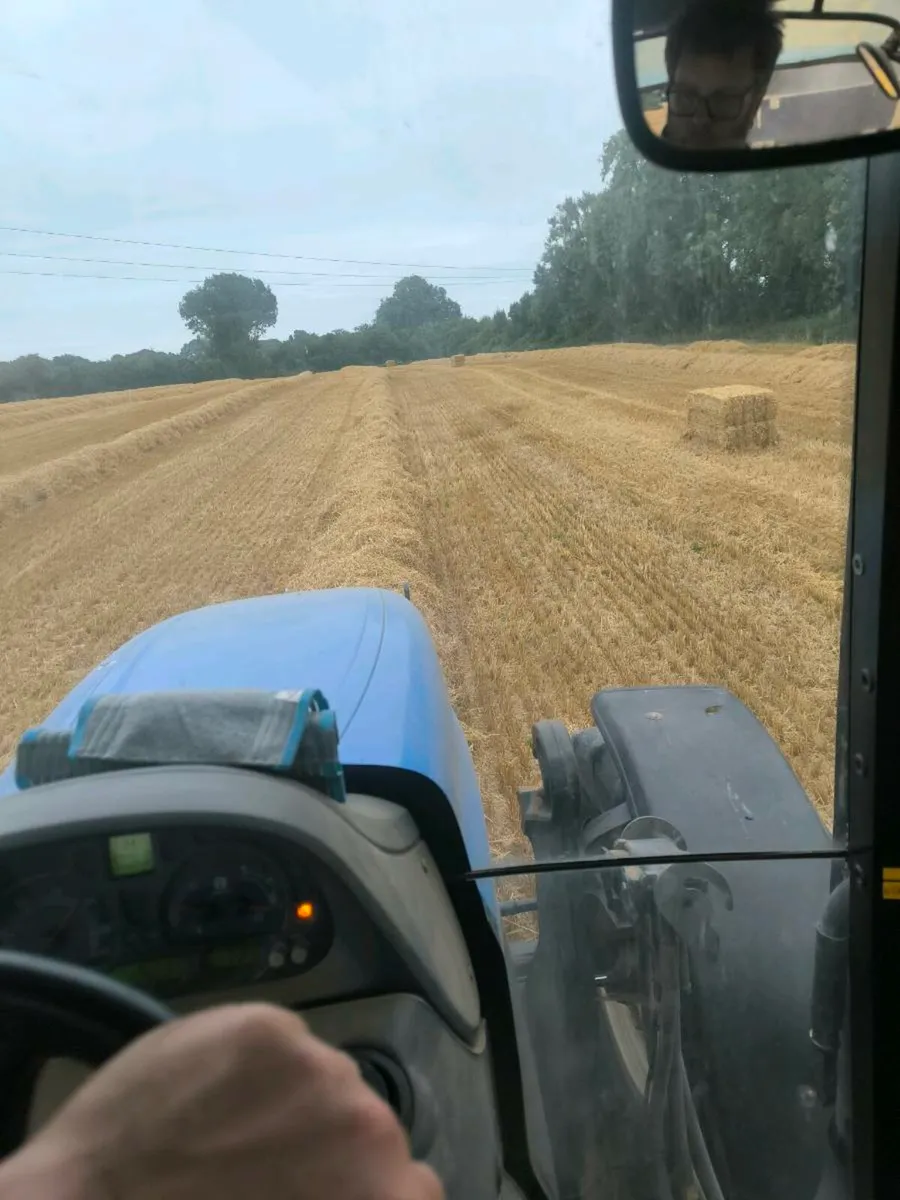 Coffin bales of spring barley straw - Image 2