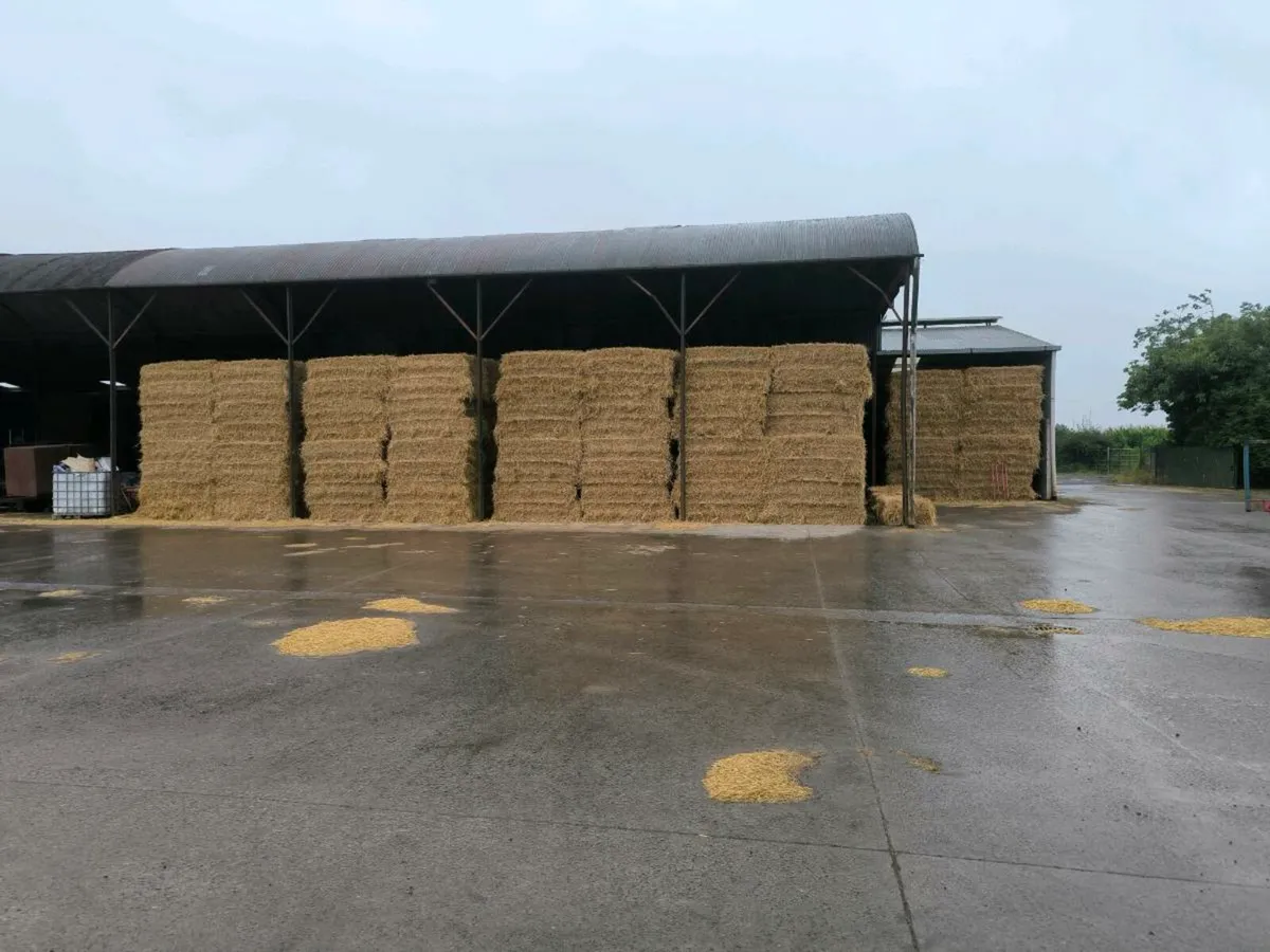 Coffin bales of spring barley straw - Image 3