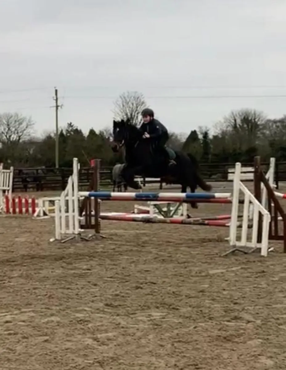 Excellent 148 jumping pony - Image 3