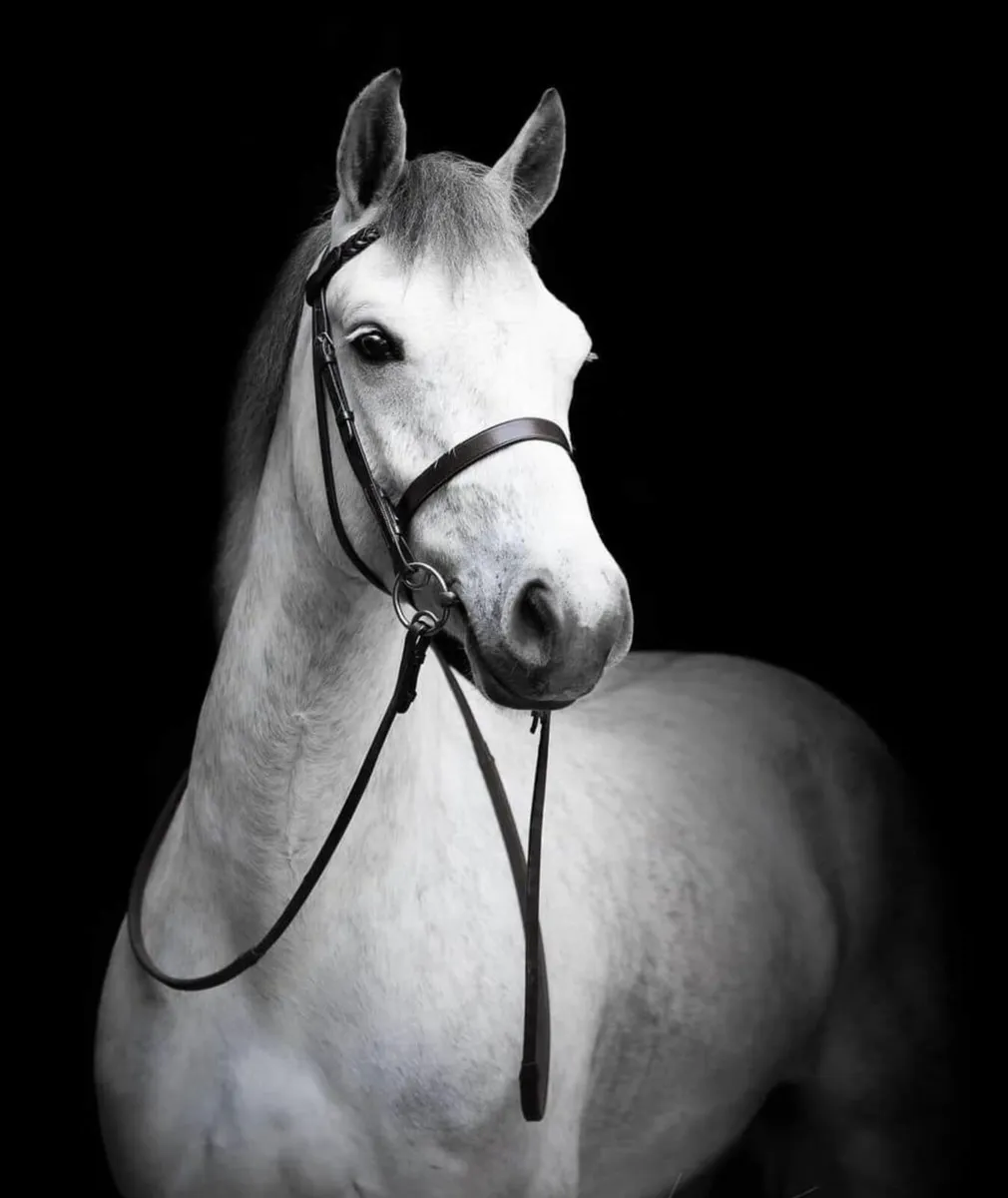 Simply the best - Image 1