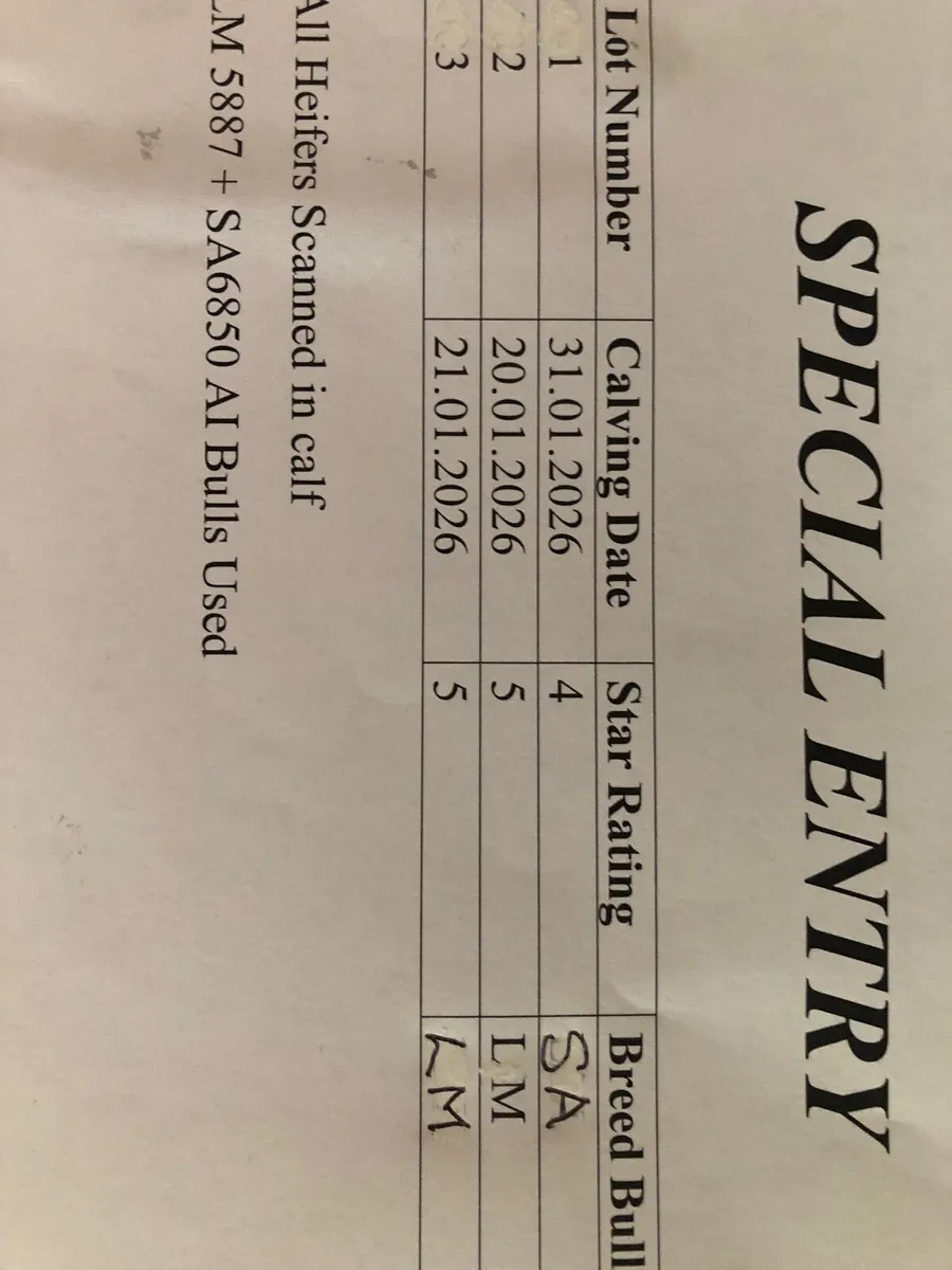 Macroom mart Suckler sale on Saturday next 20th. - Image 4