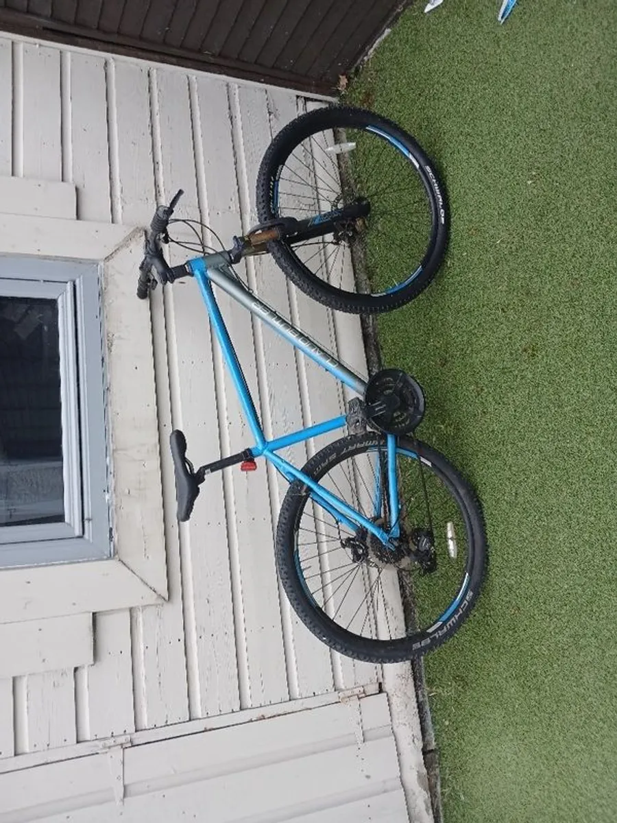bicycles