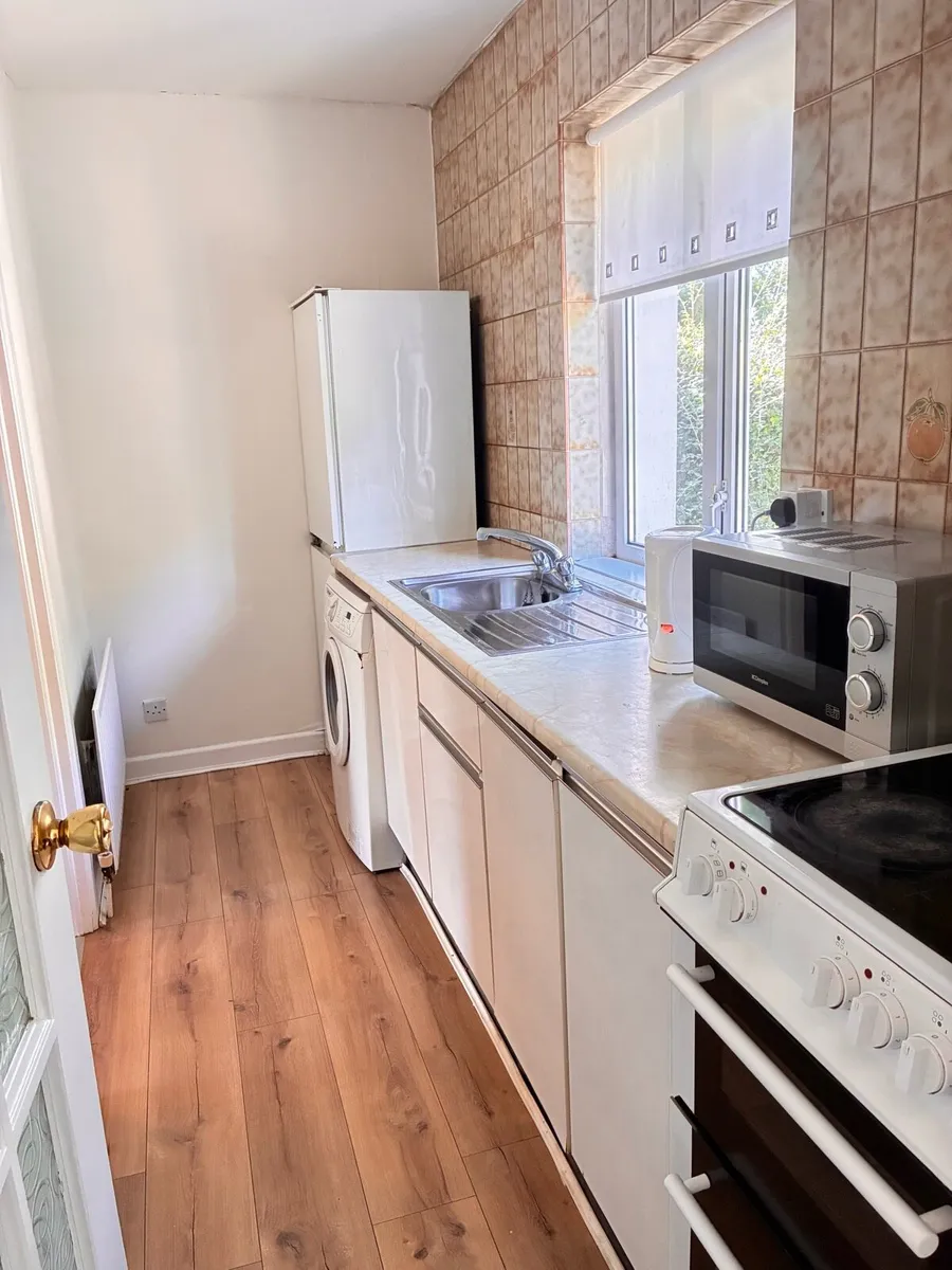 Studio flat for rent, Dundrum, Dublin 14 - Image 3
