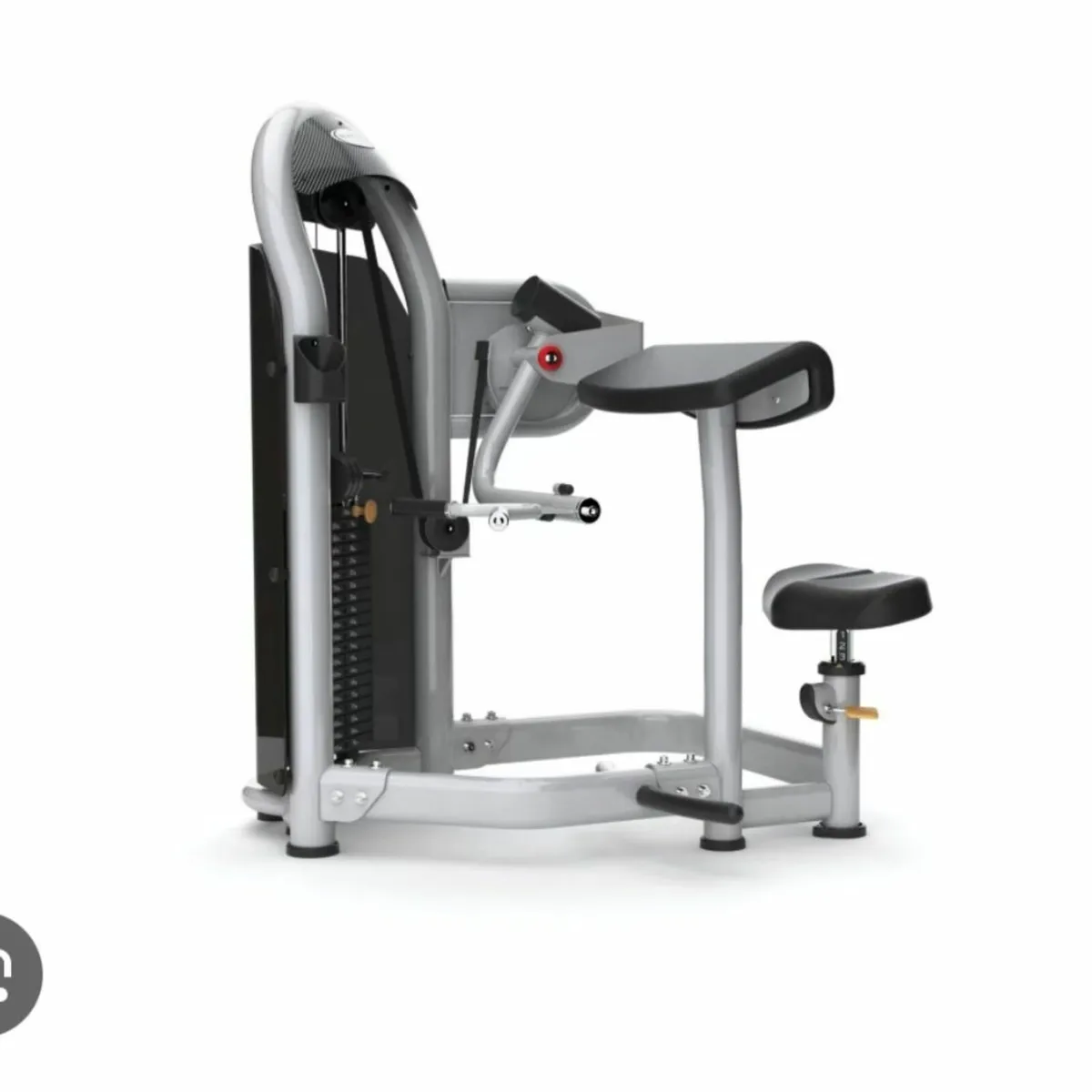 Matrix Aura Series - Arm Curl - Image 1