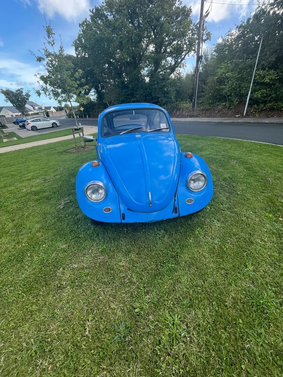 Volkswagen Beetle - Image 1