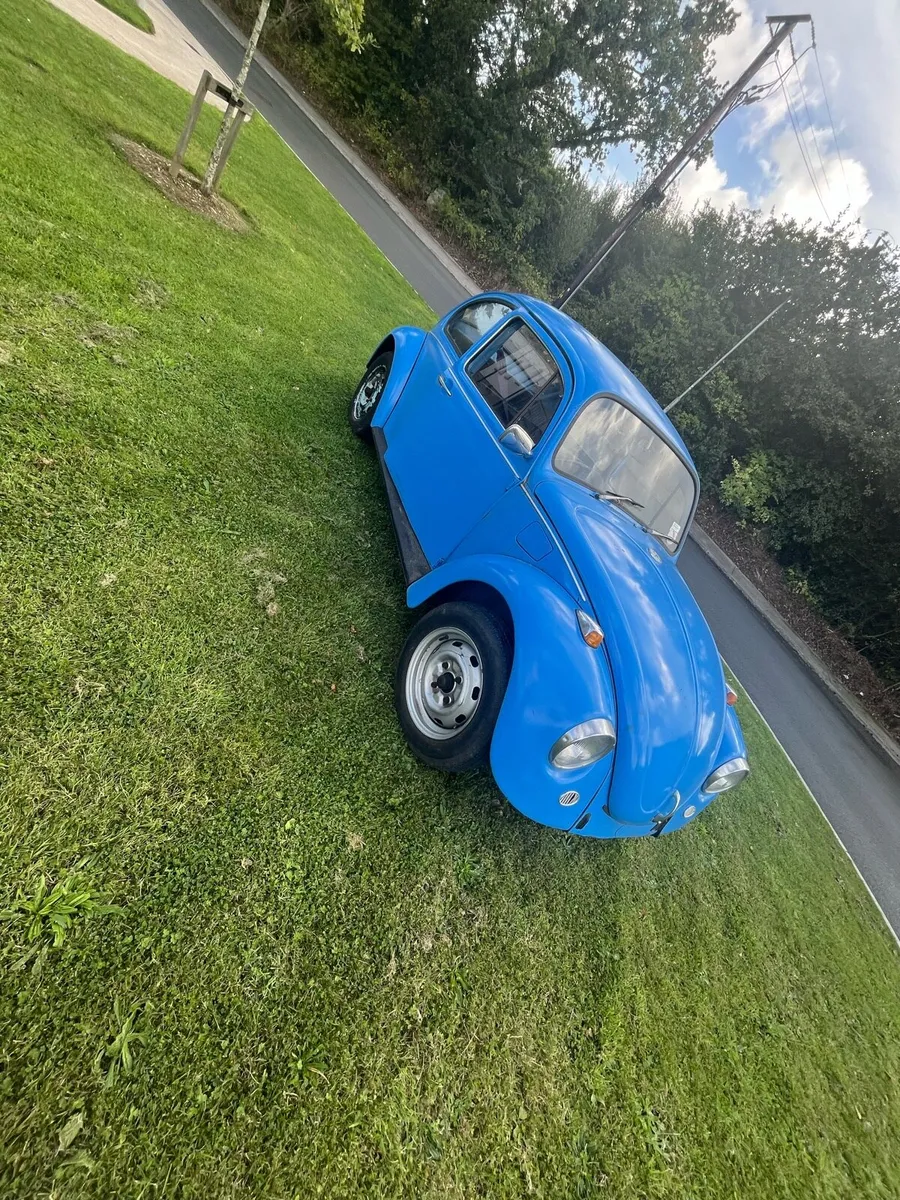Volkswagen Beetle - Image 2