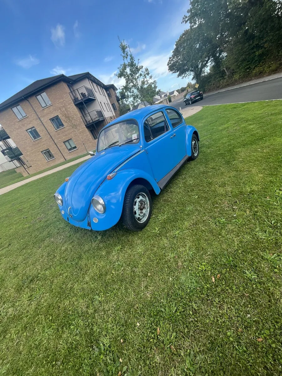Volkswagen Beetle - Image 3