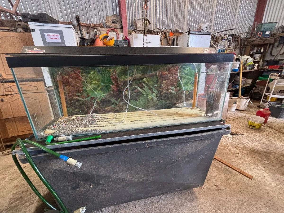 Large Fish Tank - Image 1