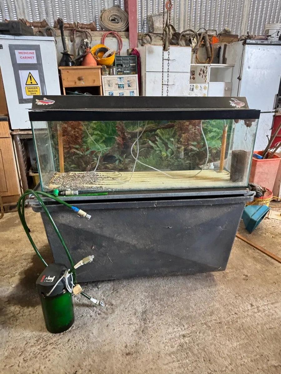 Large Fish Tank - Image 2