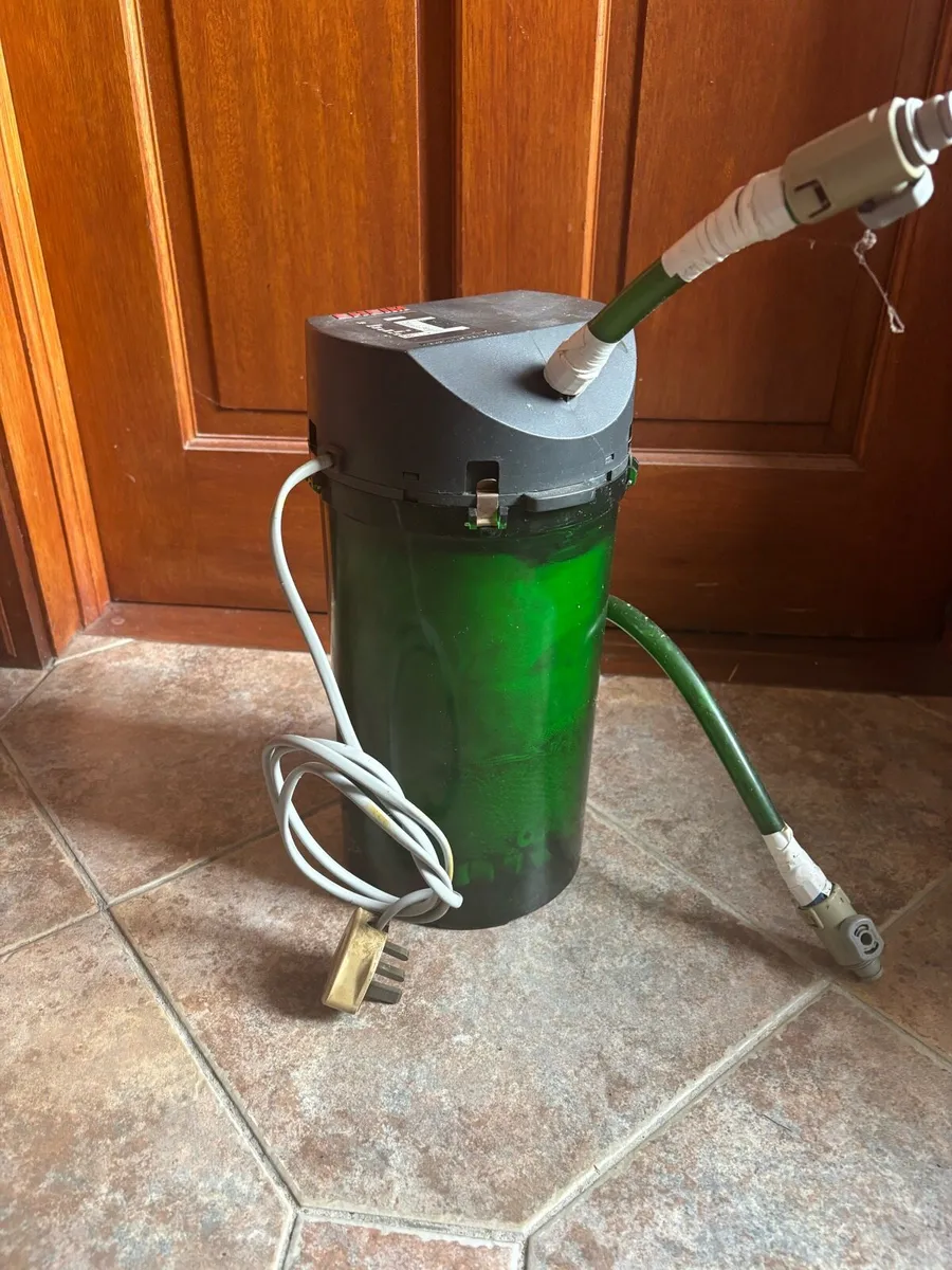 Large Fish Tank - Image 3