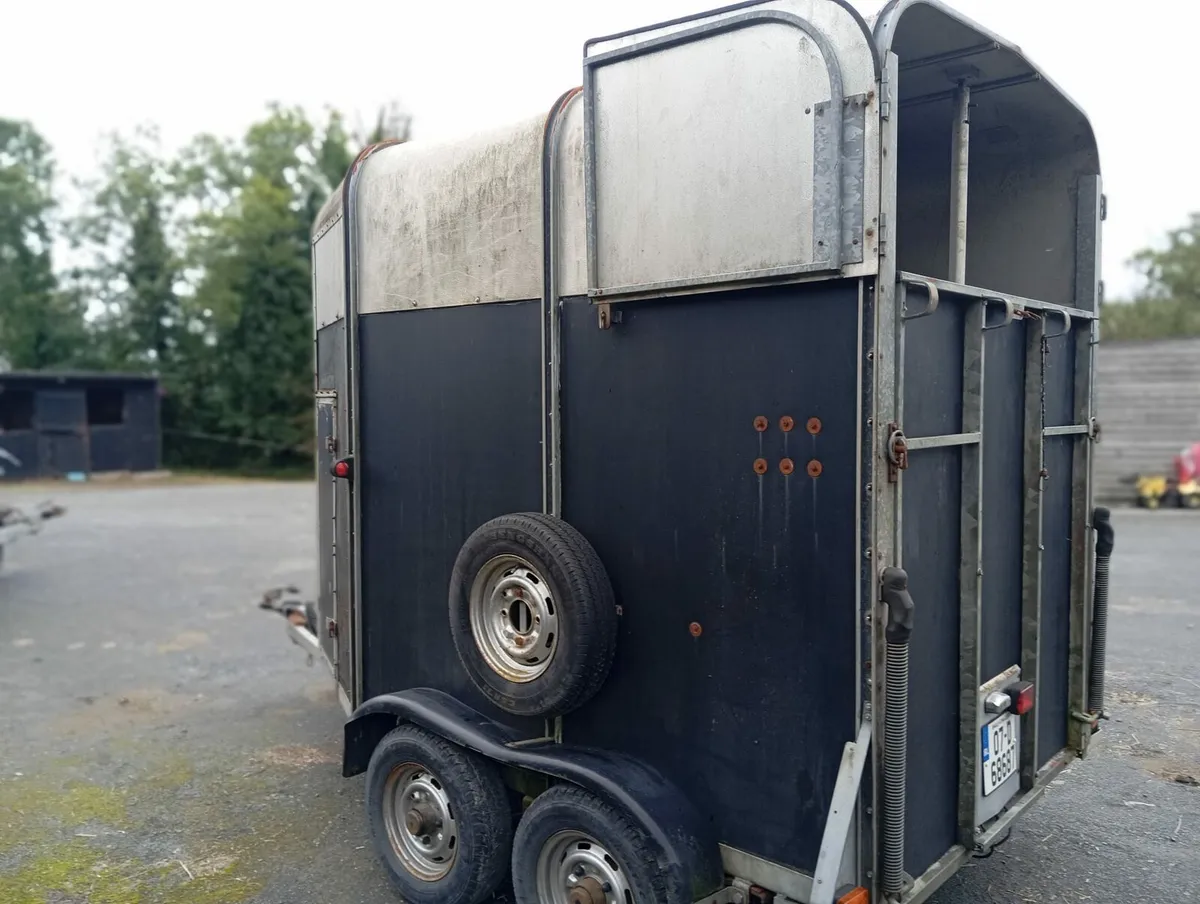 505 horse box - Image 3