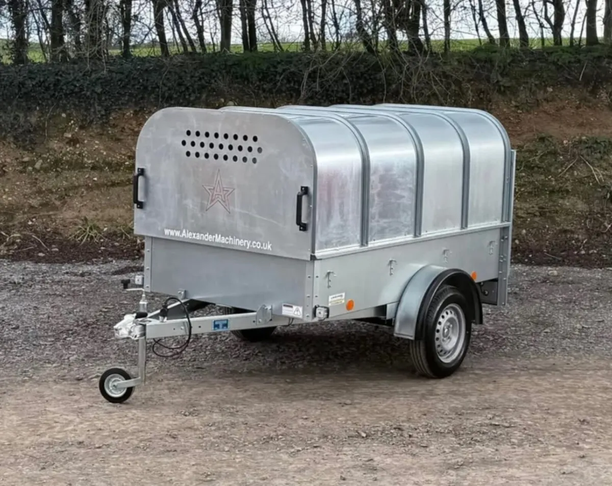 YOUNGSTOCK TRAILER 7x4 NEW A STAR - Image 3