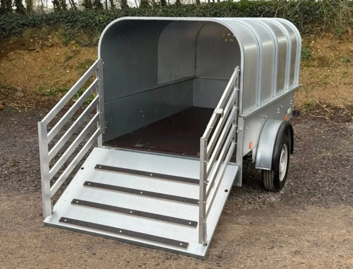 YOUNGSTOCK TRAILER 7x4 NEW A STAR - Image 2