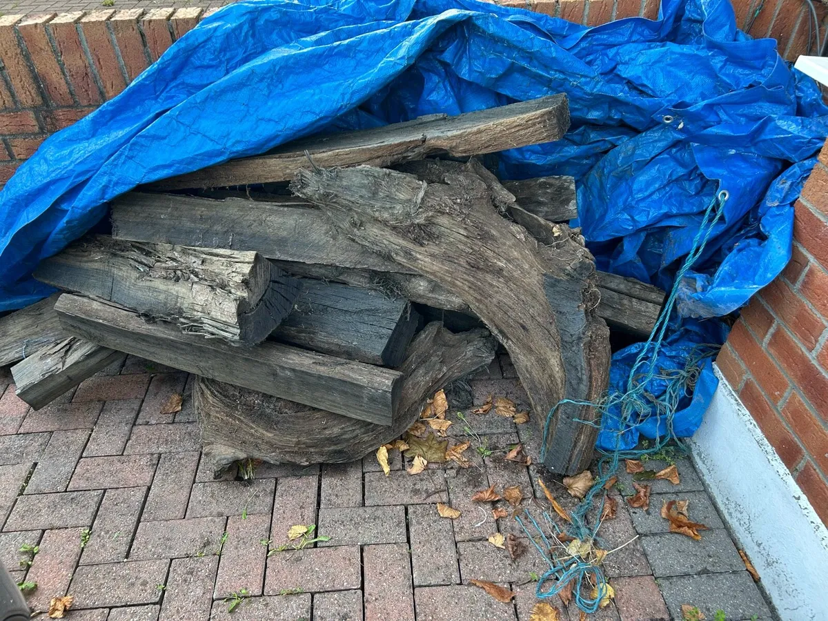 Bog oak - Image 1