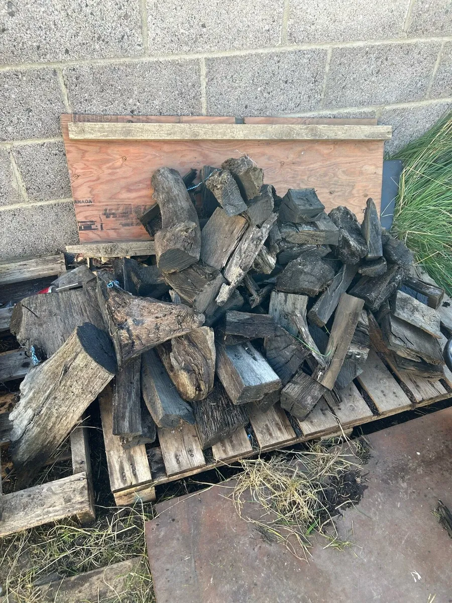 Bog oak - Image 2