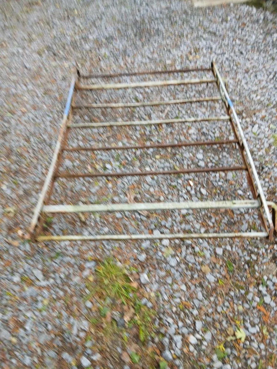 Casr iron gutters - Image 1