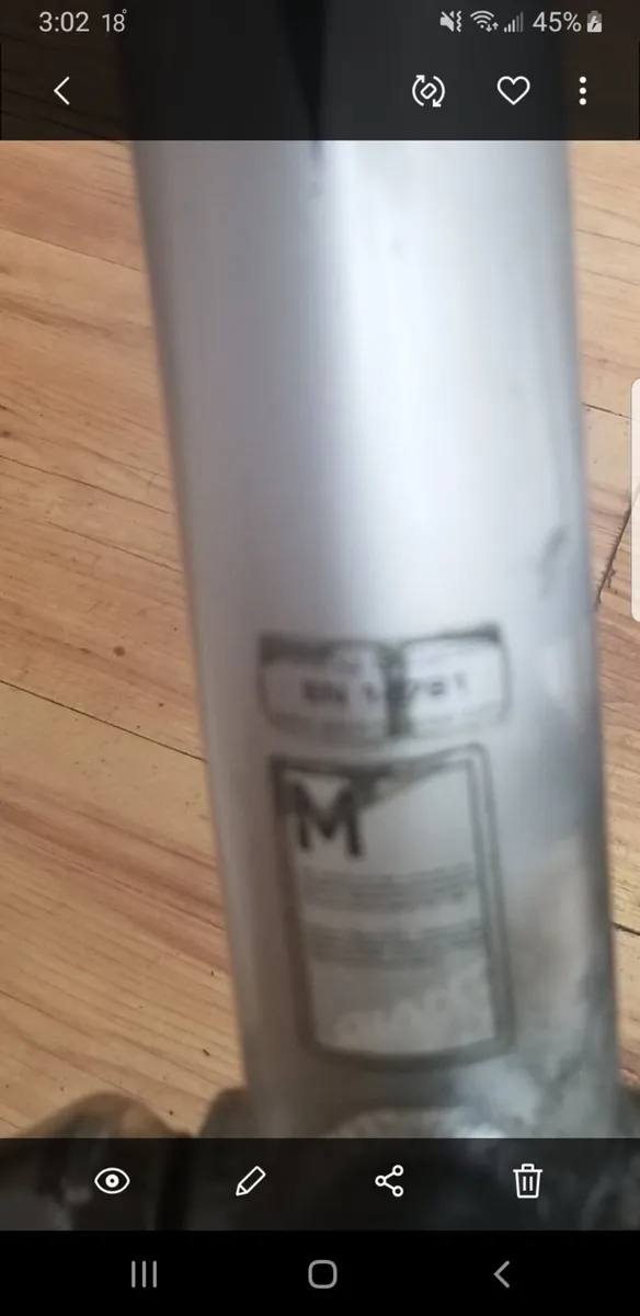 Giant defy - Image 3