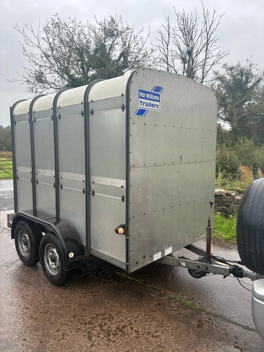 Ifor Williams Cattle / sheep Trailer - Image 1