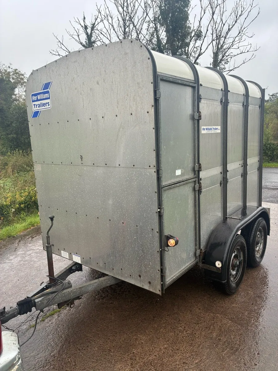 Ifor Williams Cattle / sheep Trailer - Image 2